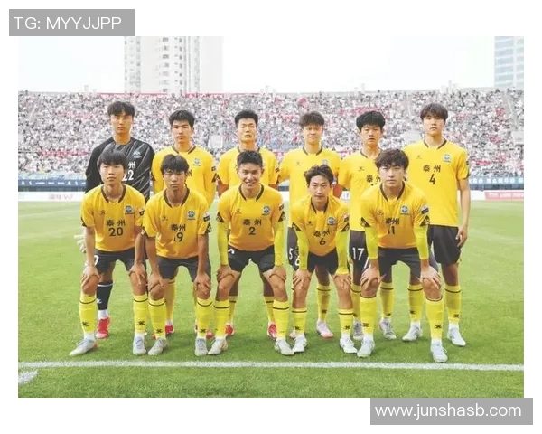 绿茵告别盛典足球巨星退役荣耀谢幕激情表演夜